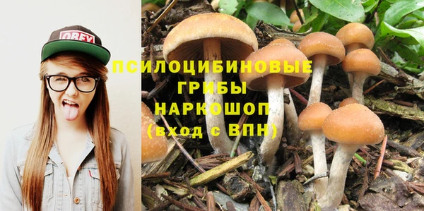 винт Горнозаводск