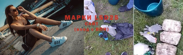 ПСИЛОЦИБИНОВЫЕ ГРИБЫ Бородино