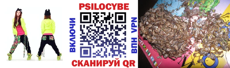 Галлюциногенные грибы Cubensis  Купить закладки  Усть-Илимск 